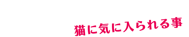 猫に気に入られる事