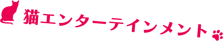 猫エンターテインメント