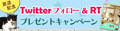 Twitterキャンペーン