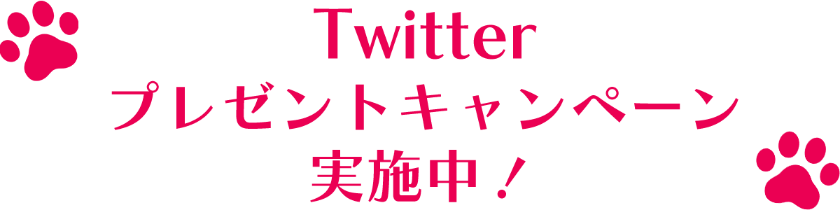 Twitterプレゼントキャンペーン実施中！