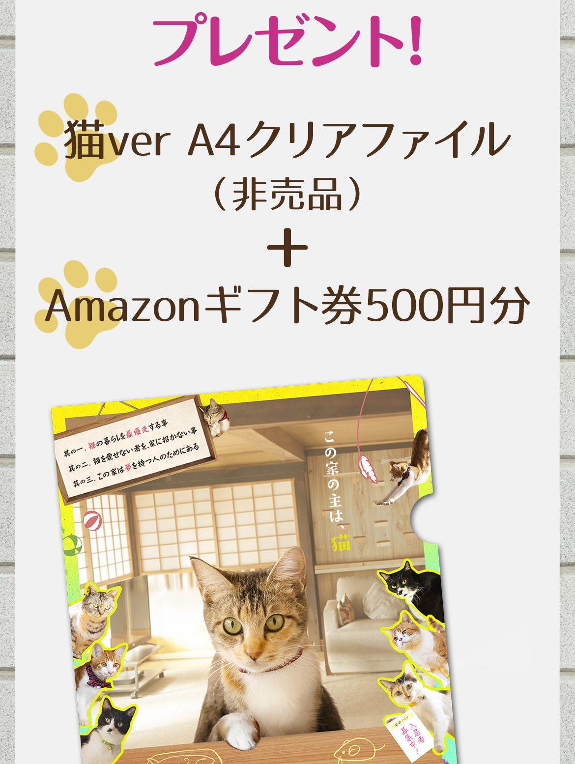 抽選で22名様にプレゼント