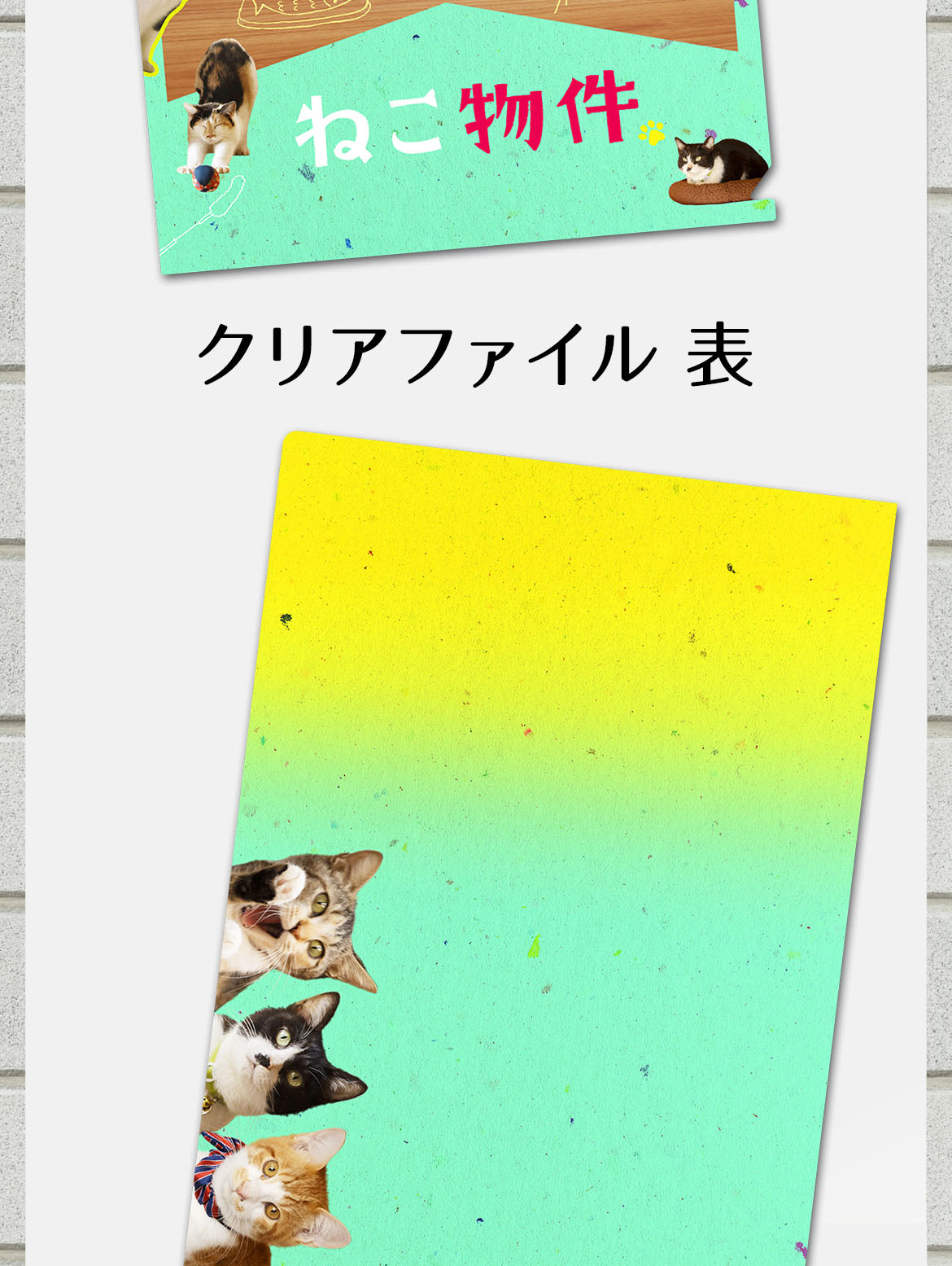 抽選で22名様にプレゼント