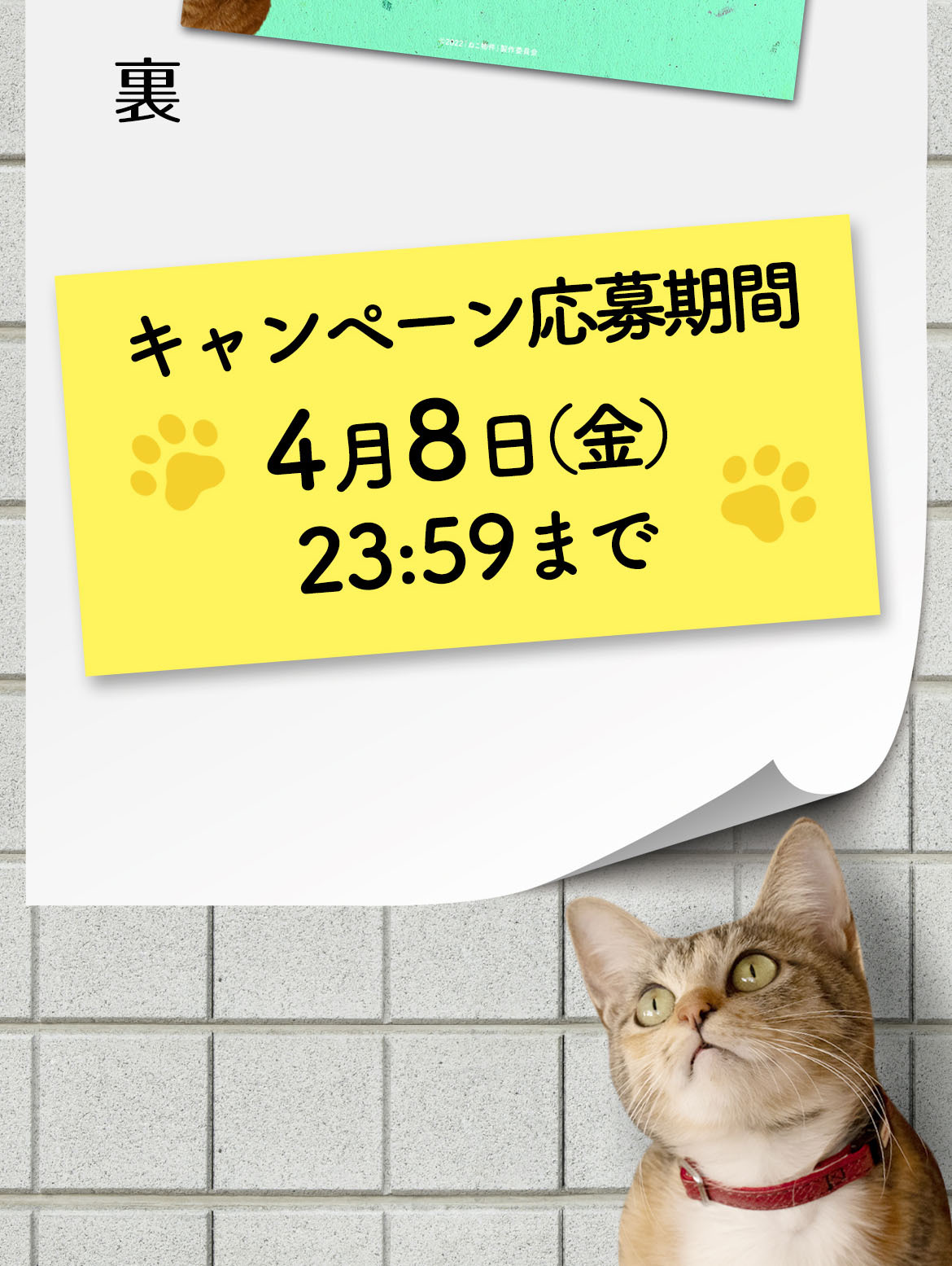 抽選で22名様にプレゼント