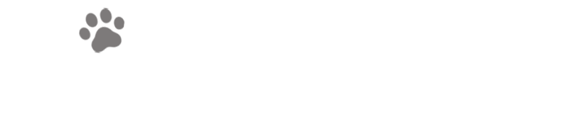 Chart 相関図