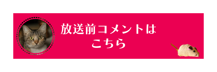 放送前コメントはこちら