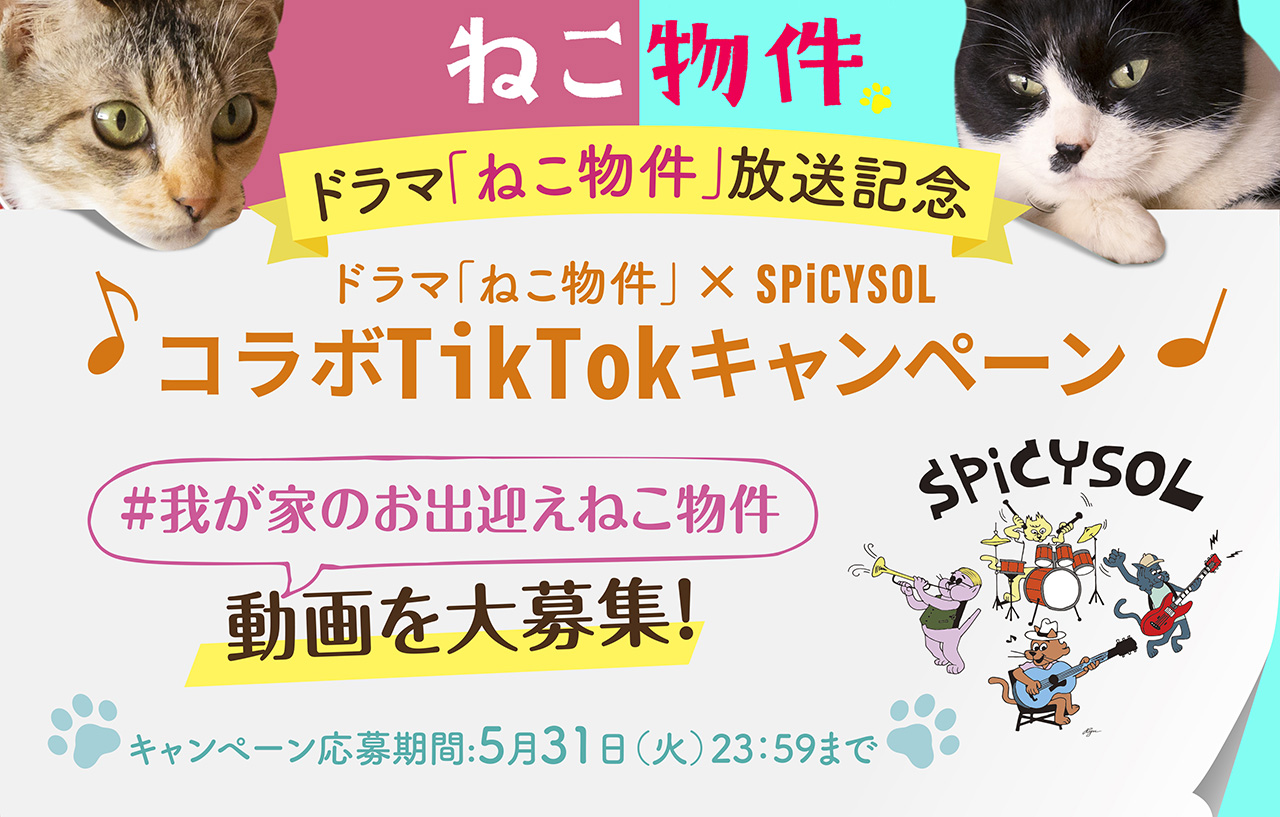 ドラマ「ねこ物件」の放送を記念し、TikTokにて、「#我が家のお出迎えねこ物件」「#ねこ物件」というハッシュタグとねこ物件主題歌 SPiCYSOL「Bell」をBGMに設定し、ご自宅の猫がお出迎えしてくれるキュートなおかえり動画を大募集！