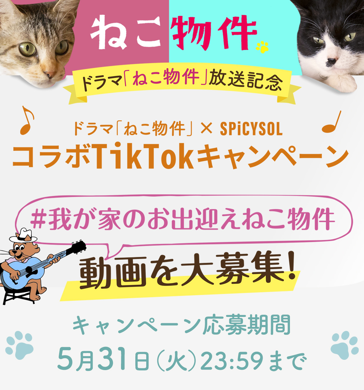 ドラマ「ねこ物件」の放送を記念し、TikTokにて、「#我が家のお出迎えねこ物件」「#ねこ物件」というハッシュタグとねこ物件主題歌 SPiCYSOL「Bell」をBGMに設定し、ご自宅の猫がお出迎えしてくれるキュートなおかえり動画を大募集！
