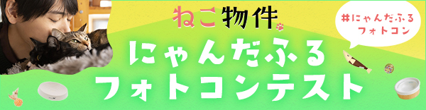 にゃんだふる