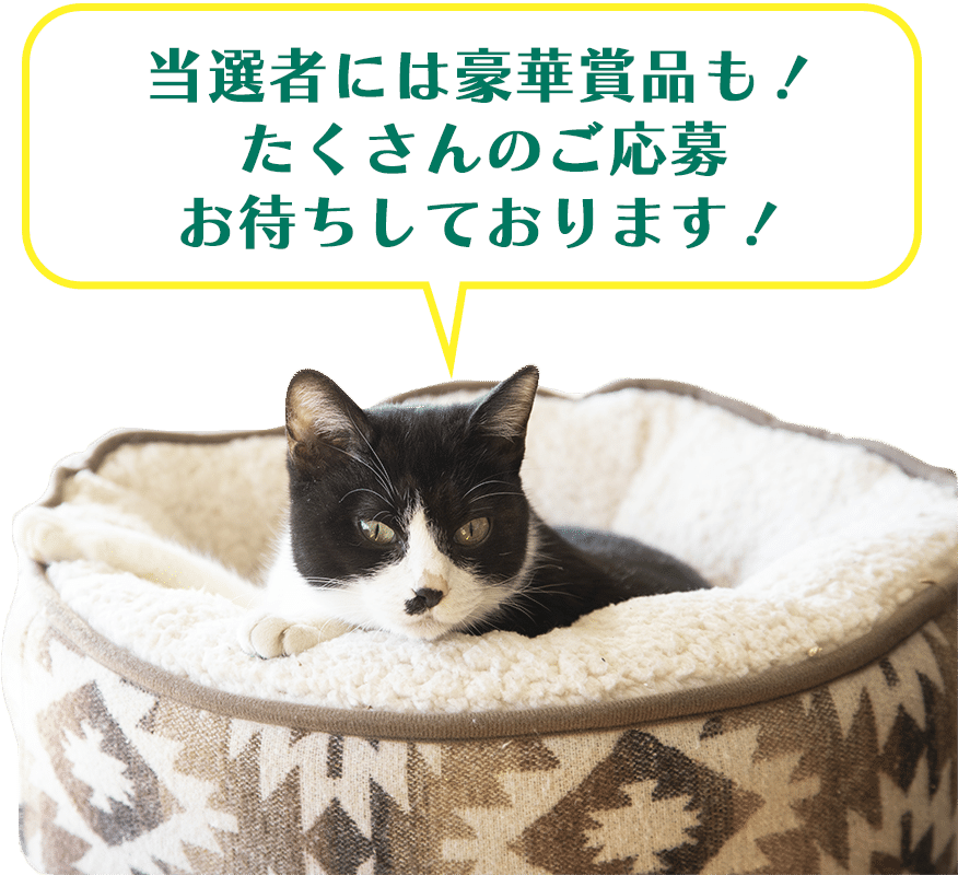 当選者には豪華賞品も！たくさんのご応募お待ちしております！