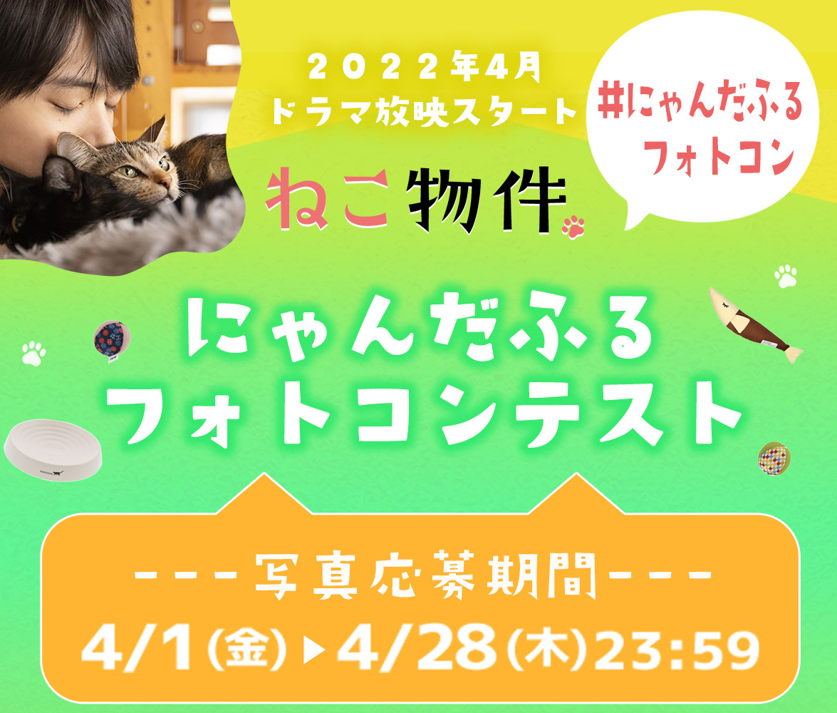 にゃんだふるフォトコンテスト