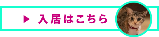 入居する