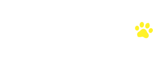 放送情報