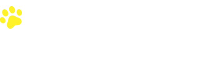 放送情報