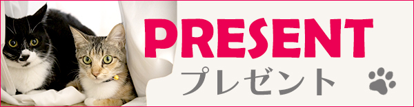 プレゼント