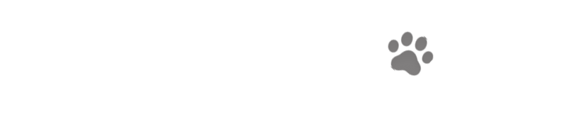 SNS