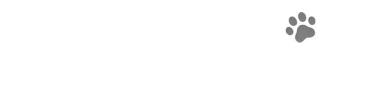 Story