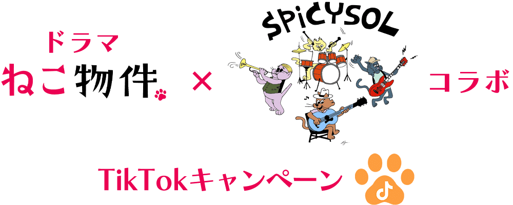 ドラマ「ねこ物件」×SPiCYSOL コラボTikTokキャンペーン