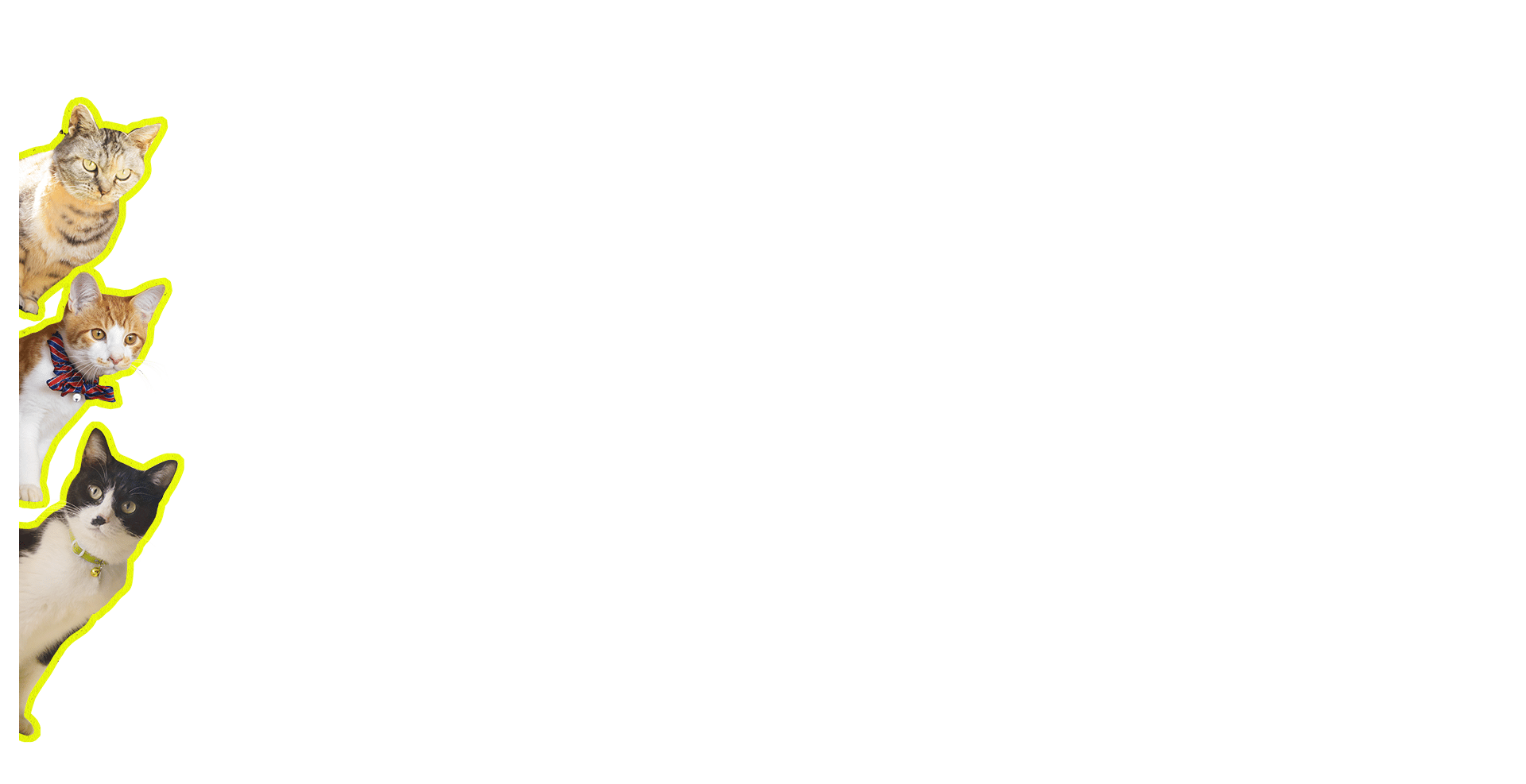 left cast