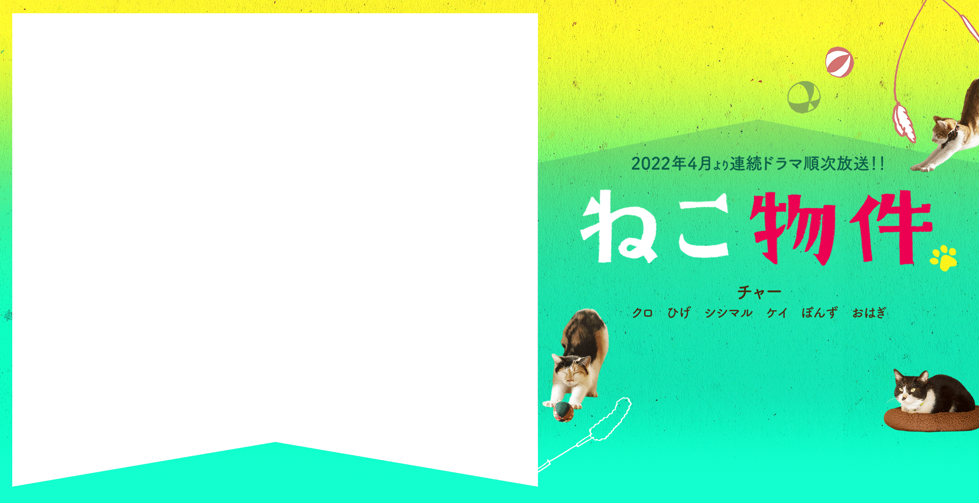 2022年4月放送スタート！「ねこ物件」古川雄輝 細田佳央太　上村海成　本田剛文　松大航也 長井短　竜雷太