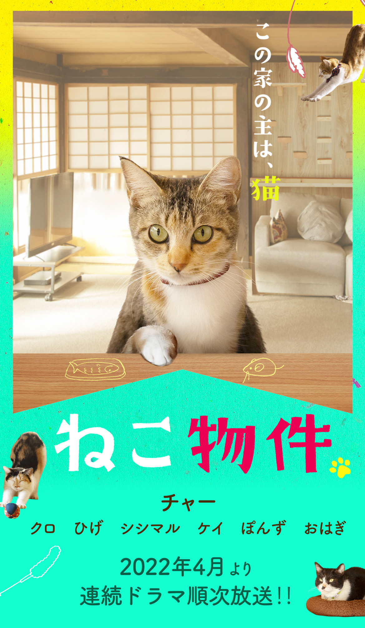 古川雄輝 2022年4月放送スタート！「ねこ物件」古川雄輝 細田佳央太　上村海成　本田剛文　松大航也 長井短　竜雷太