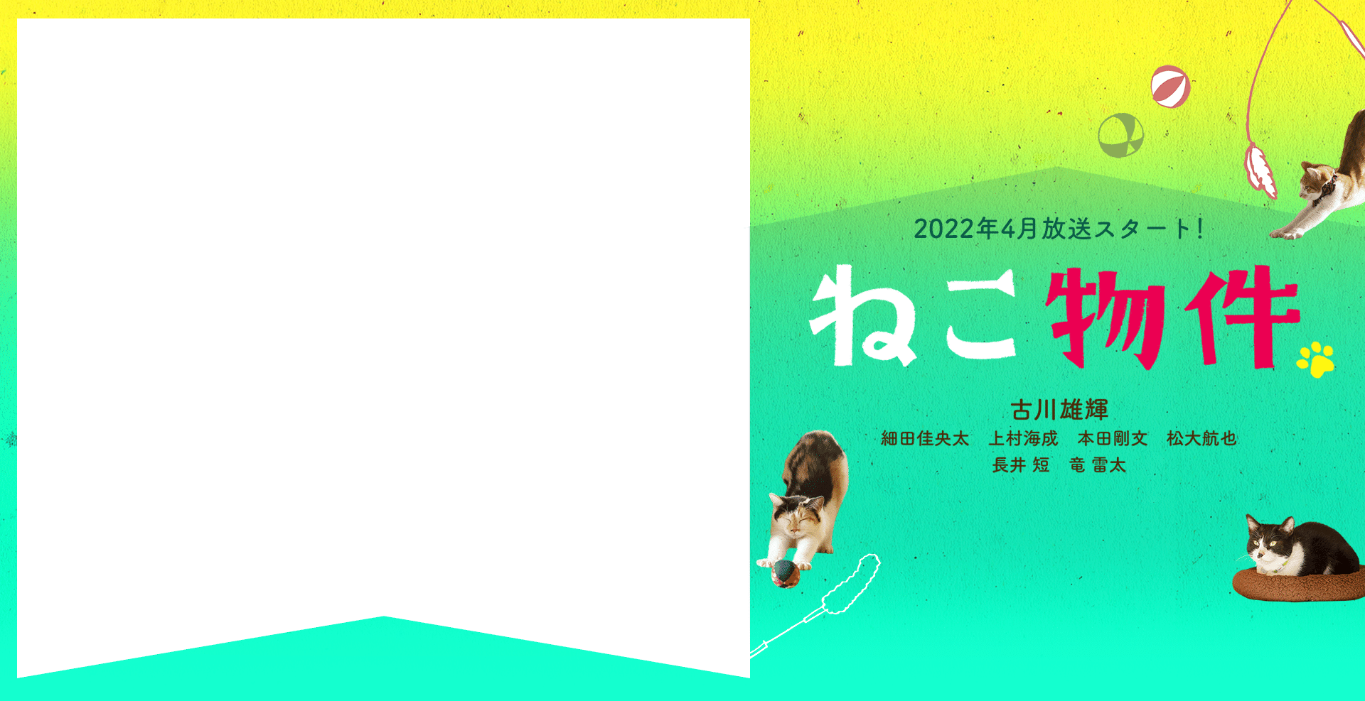 2022年4月放送スタート！「ねこ物件」古川雄輝 細田佳央太　上村海成　本田剛文　松大航也 長井短　竜雷太