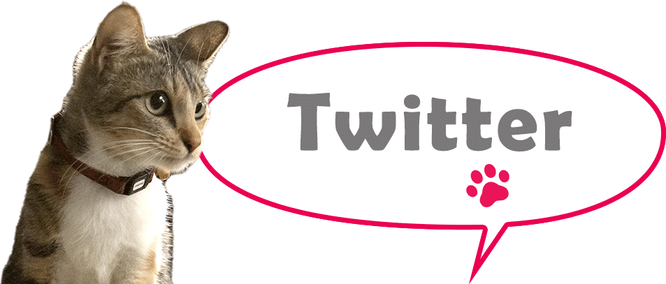 twitter